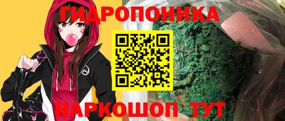 скорость Будённовск